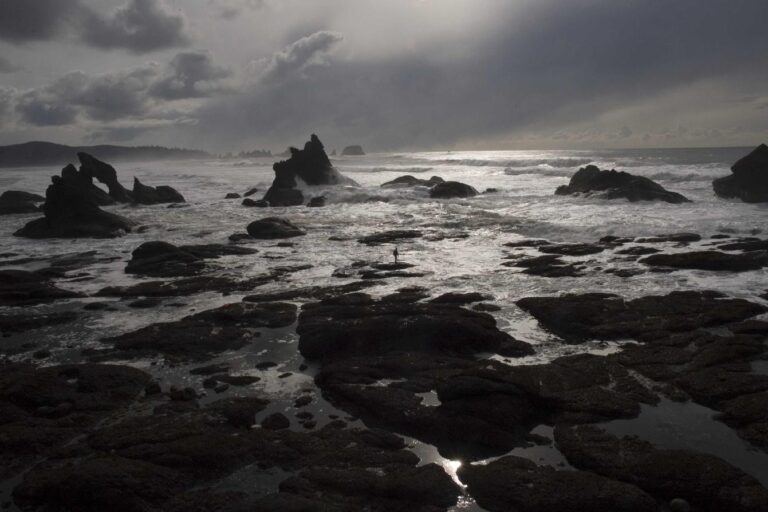 Molestiae iusto labore et